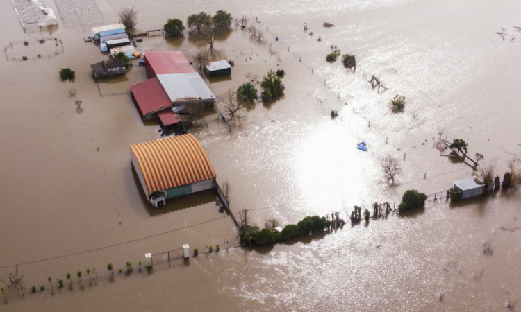 A flooded area after a dike burst Sao Joao do Campo, Coimbra, Portugal. Photograph: Miguel A Lopes/EPA